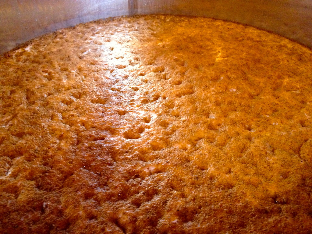 Fermenting Chardonnay Longdog Winery